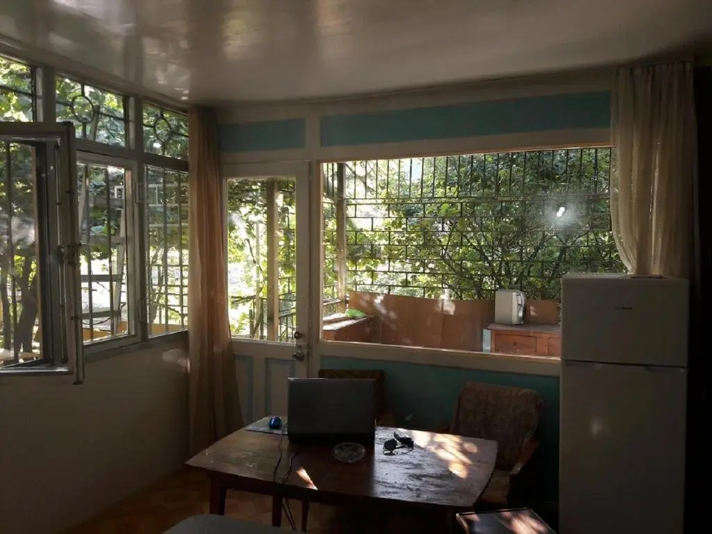 Боржоми: Geqor's Apartment