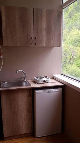 Боржоми: Guesthouse on Rustaveli