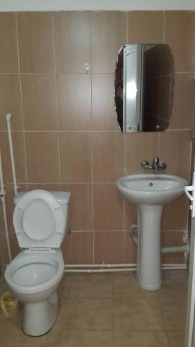 Боржоми: Guesthouse on Rustaveli