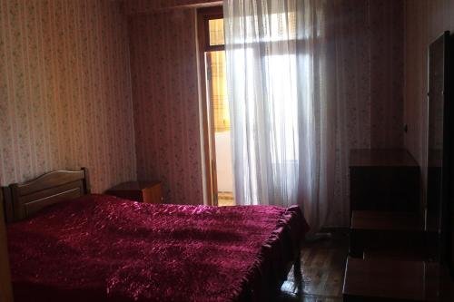 Боржоми: Apartment Tina