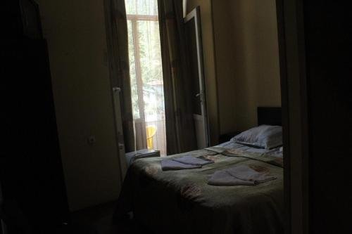 Боржоми: Hotel Meidani