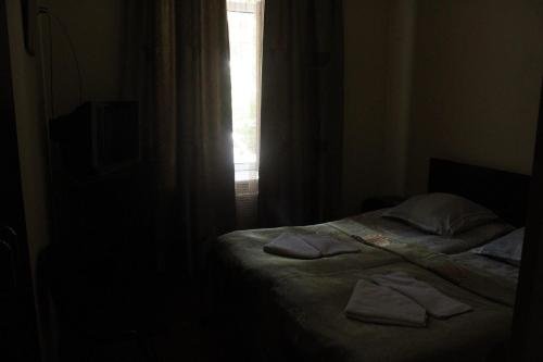 Боржоми: Hotel Meidani