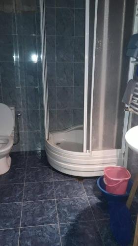 Боржоми: House Lia