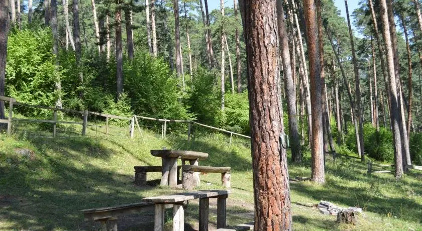 Ликани: Guest House on Meskheti
