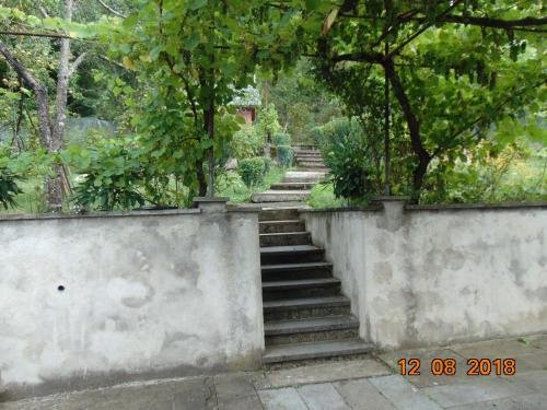 Боржоми: Guest House Teo