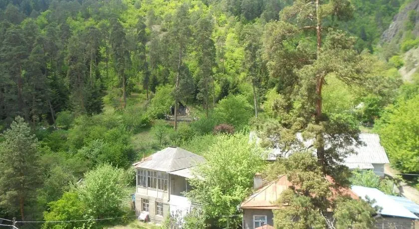 Ликани: Apartment in Likani Borjomi