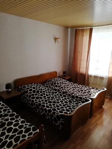 Боржоми: Hotel Edemi