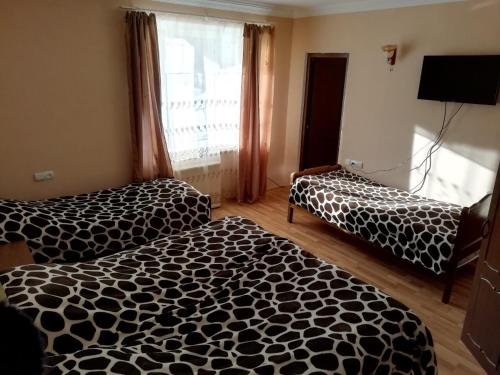 Боржоми: Hotel Edemi