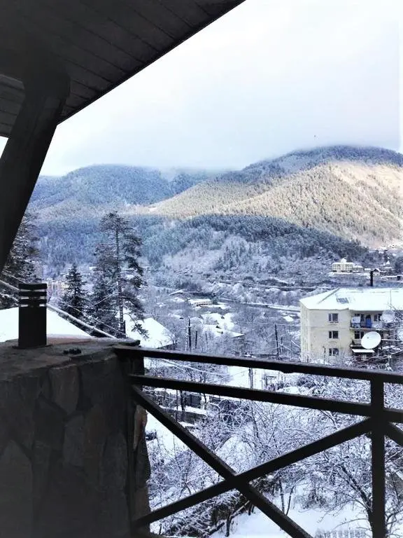Боржоми: Mountain House Borjomi