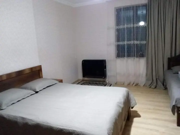 Боржоми: Guest House Lazare