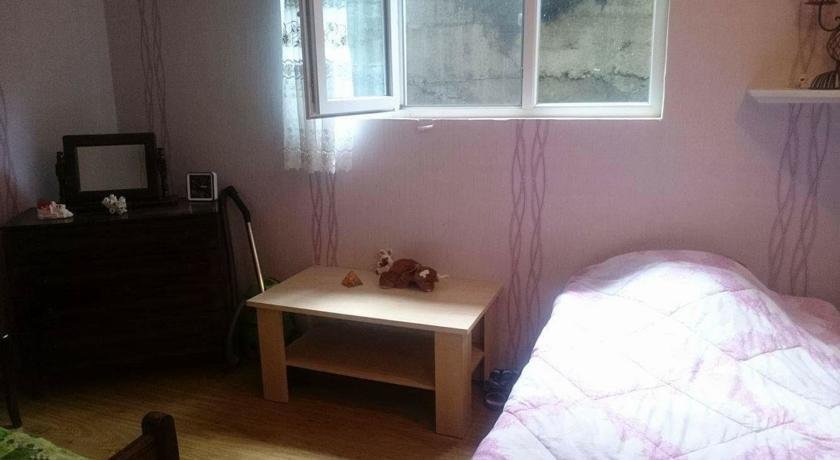 Боржоми: Guest House Tamuna Borjomi