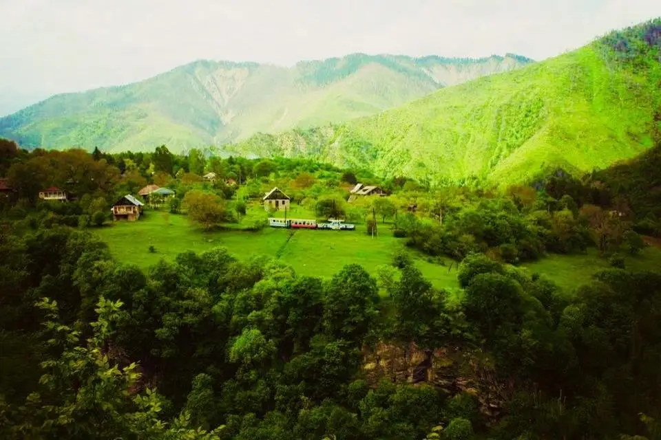 Borjomi resort tsemi — фото 1