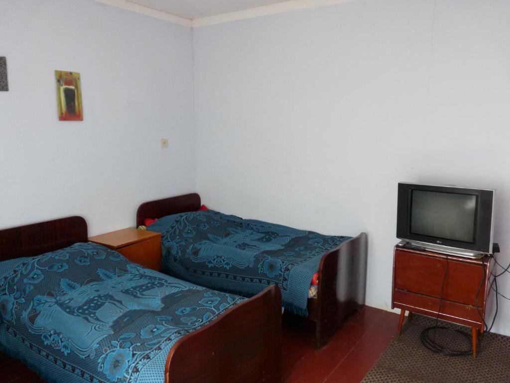 Боржоми: Guesthouse Nato