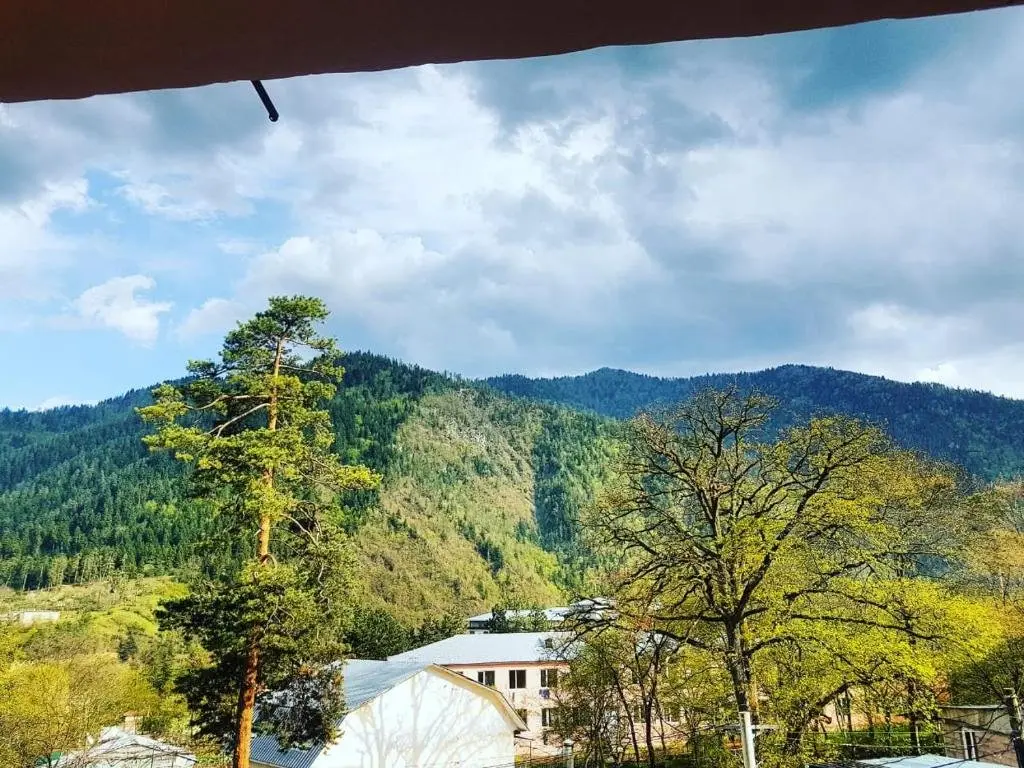 Боржоми: Mariana Apartment Borjomi-Likani