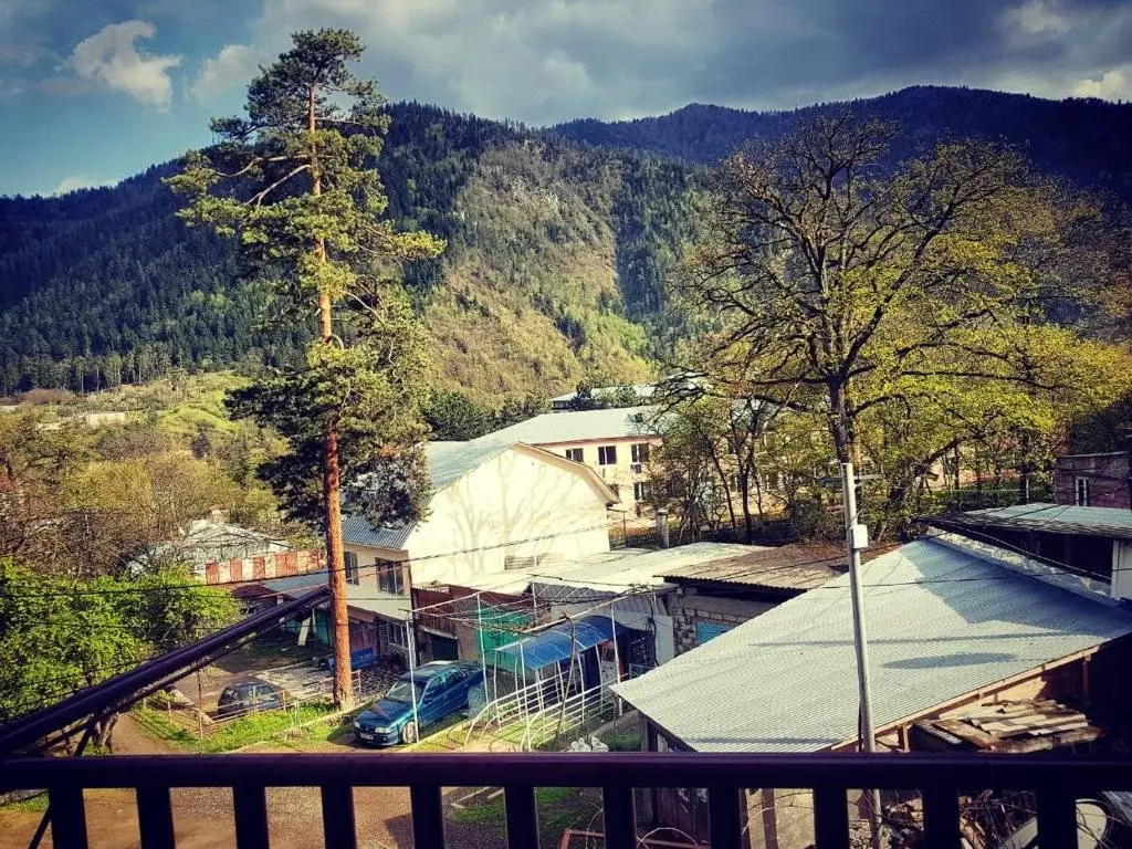 Боржоми: Mariana Apartment Borjomi-Likani