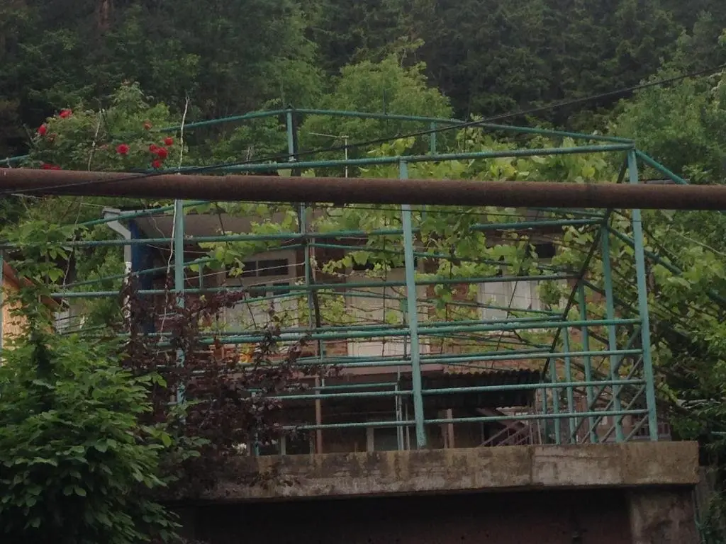 Боржоми: Green Borjomi