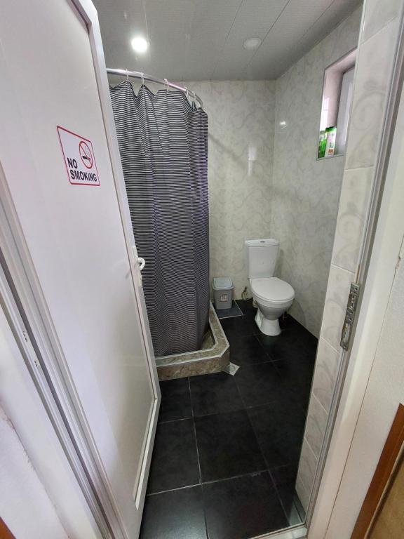 Боржоми: Guesthouse Saba