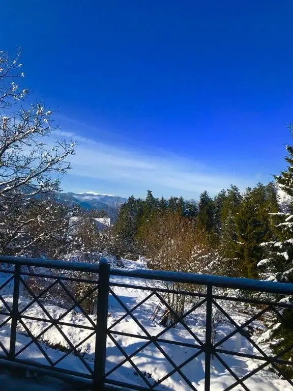 Боржоми: Mtis Broli Borjomi