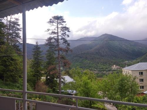 Боржоми: Home in Borjomi