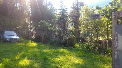 Боржоми: Home in Borjomi