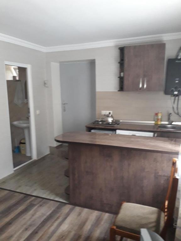 Боржоми: apartament sofia