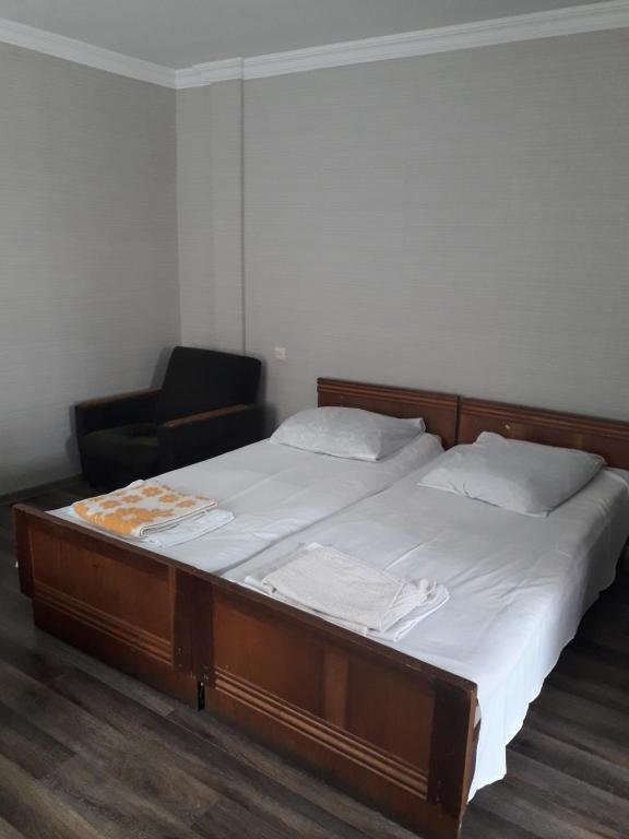 Боржоми: apartament sofia