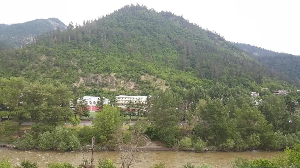 Боржоми: Karlsson Borjomi Apartment.