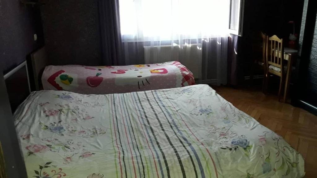 Боржоми: Guest house Ingorokva