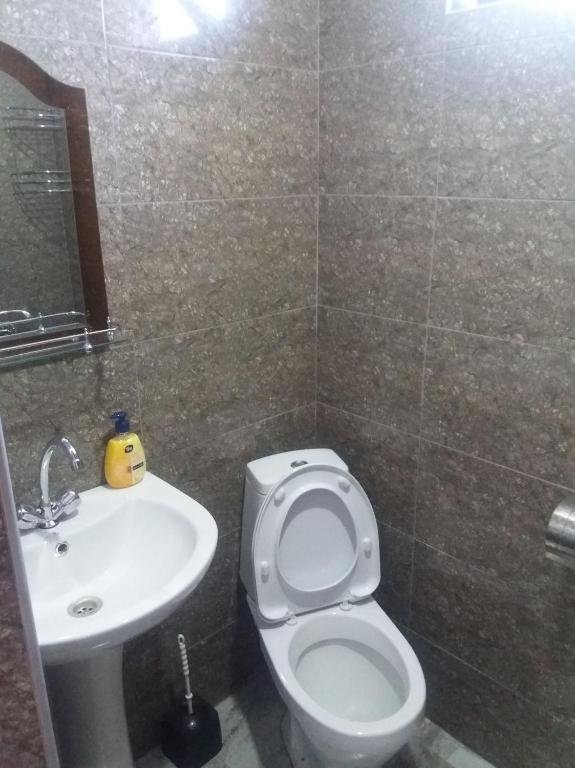 Боржоми: Guest House David