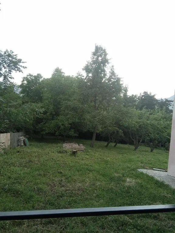 Боржоми: House in Tba