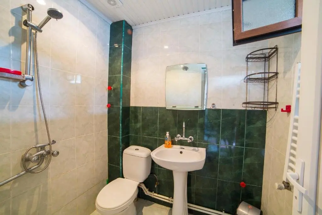 Боржоми: GLG's Guesthouse