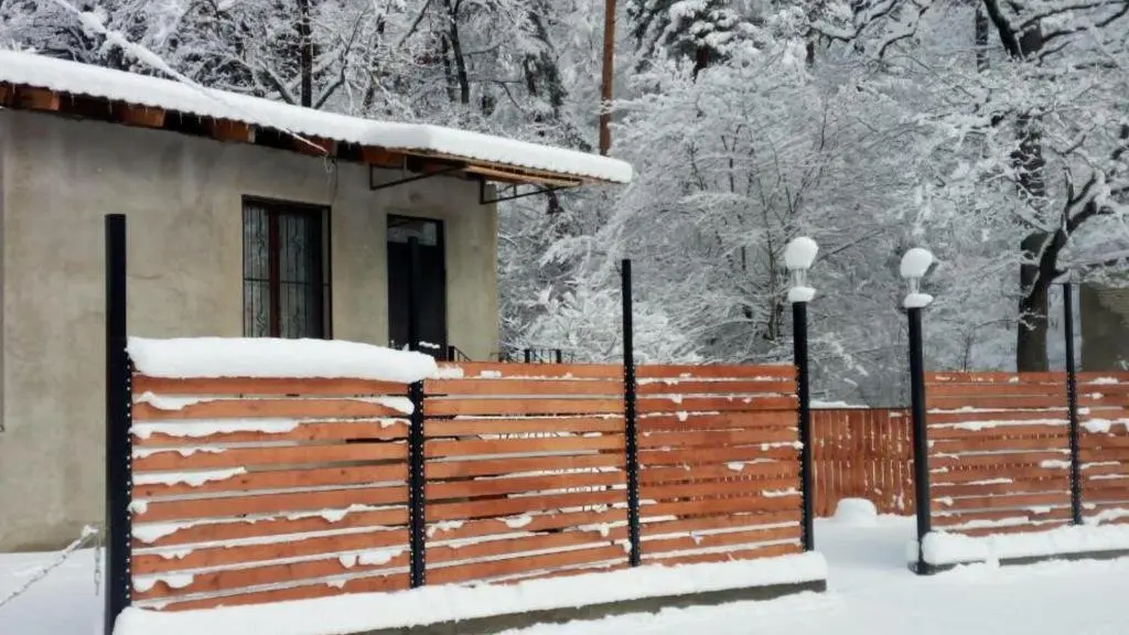 Боржоми: Myhotel Borjomi