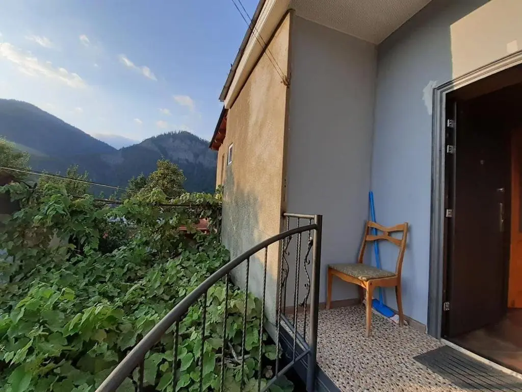 Боржоми: Guest house Dati
