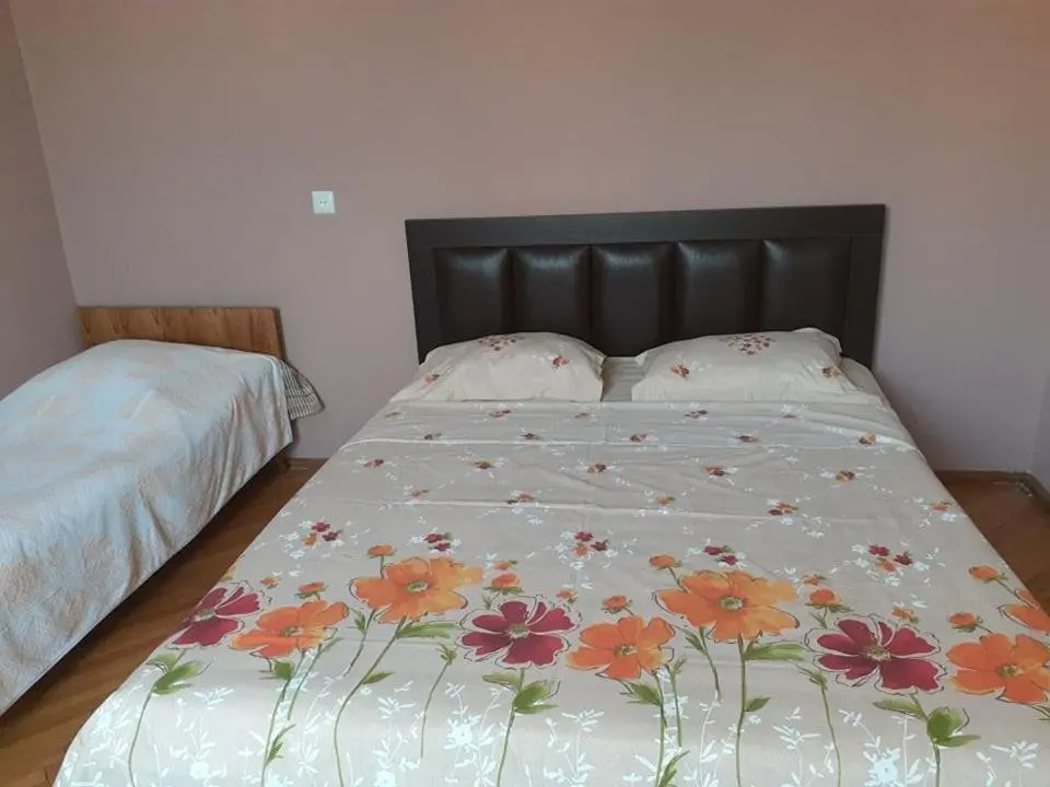 Боржоми: Guest house Dati