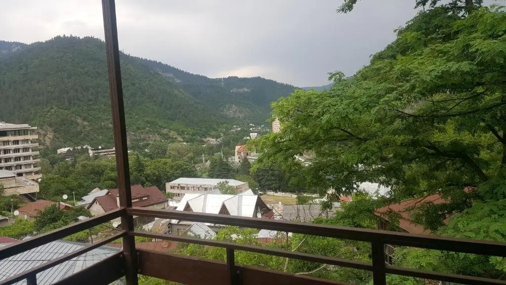Боржоми: Joma's House Borjomi