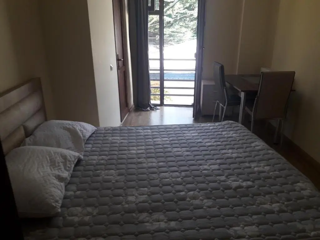 Боржоми: MM House