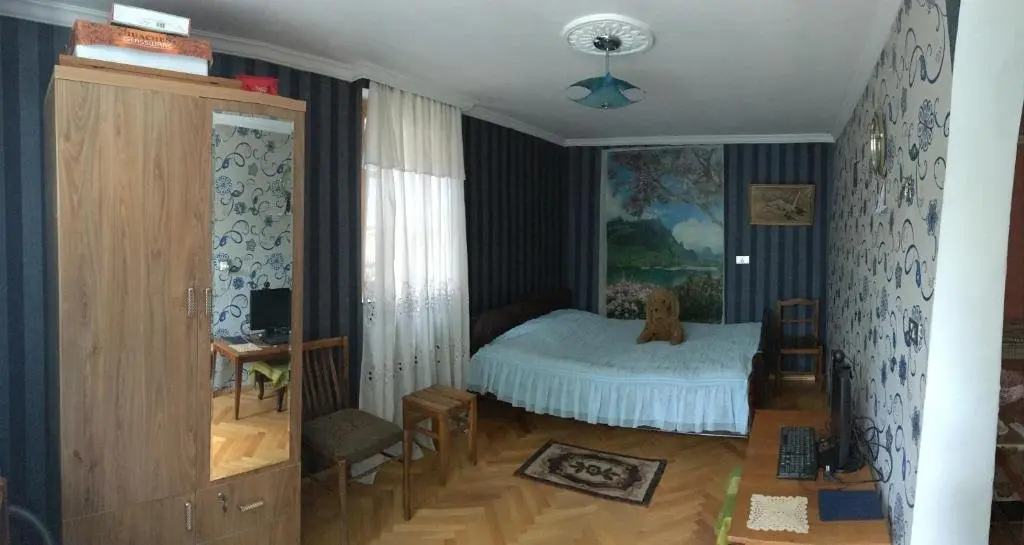 Боржоми: Nuca's guesthouse