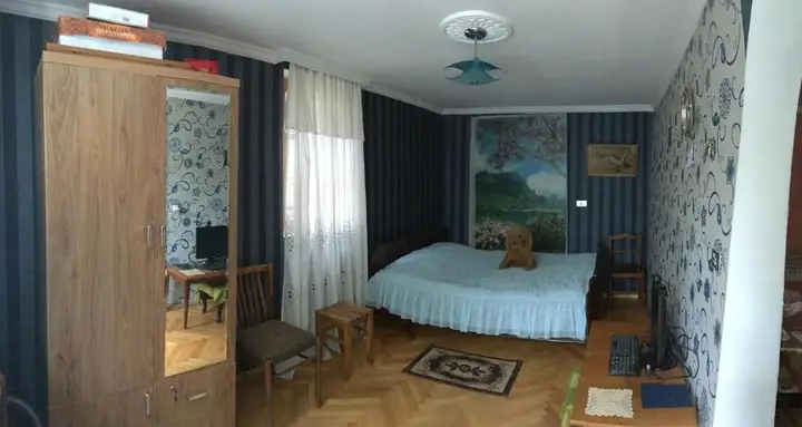 Боржоми: Nuca's guesthouse
