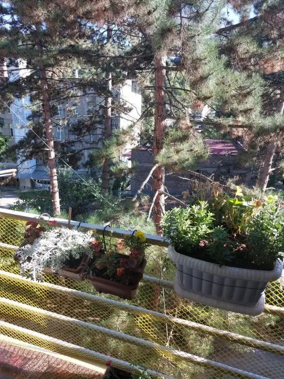 Боржоми: Londa