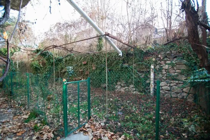 Боржоми: Borjomi Holiday