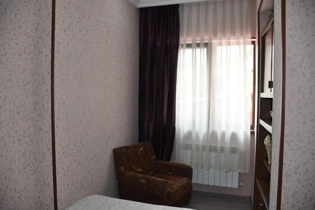 Боржоми: Apartment Ana