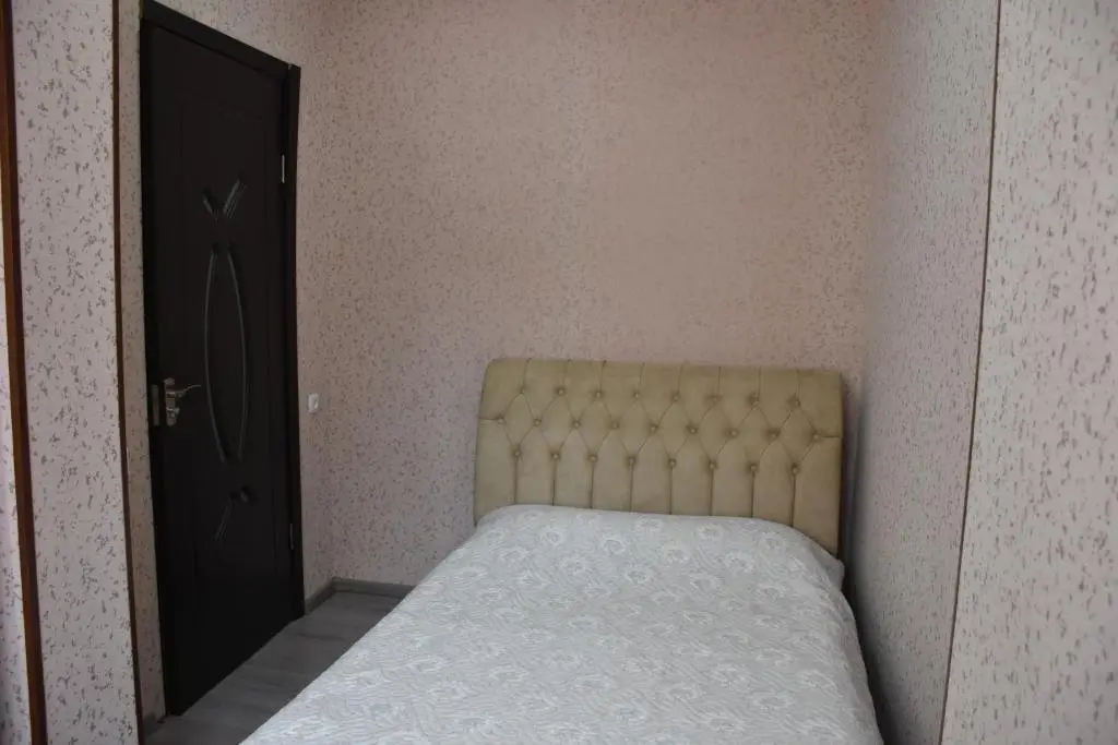 Боржоми: Apartment Ana