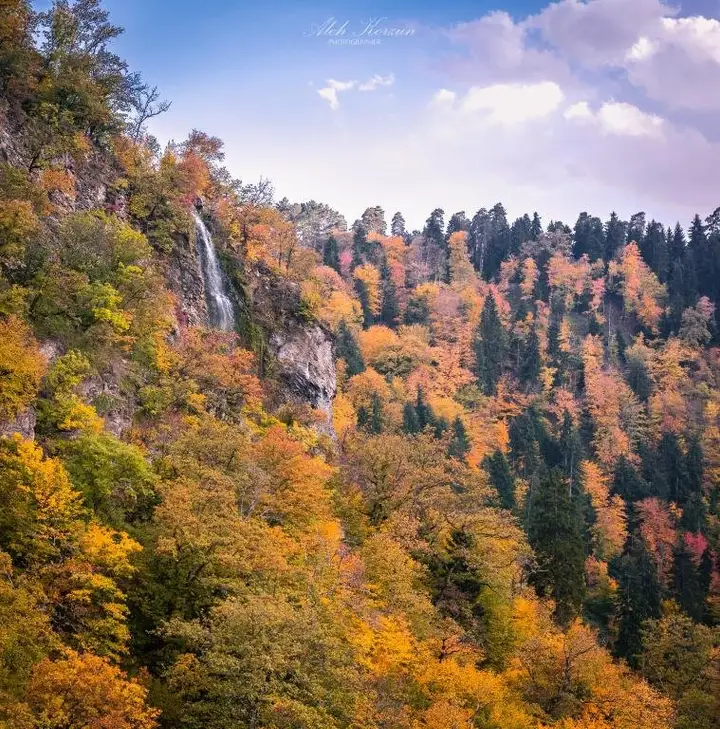 Боржоми: Rest In Borjomi