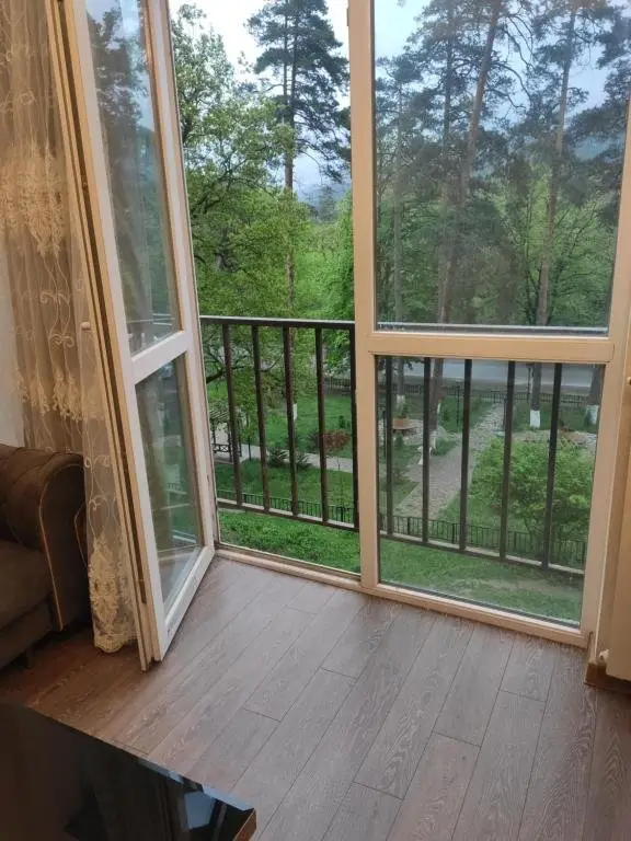Боржоми: Apartment Likani