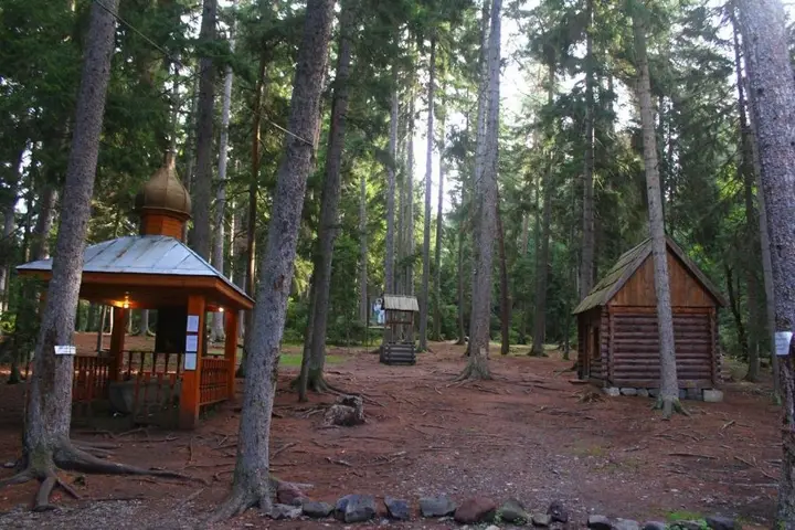 Боржоми: Guest House Bochora