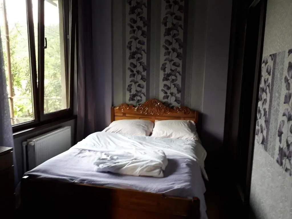 Боржоми: holiday home