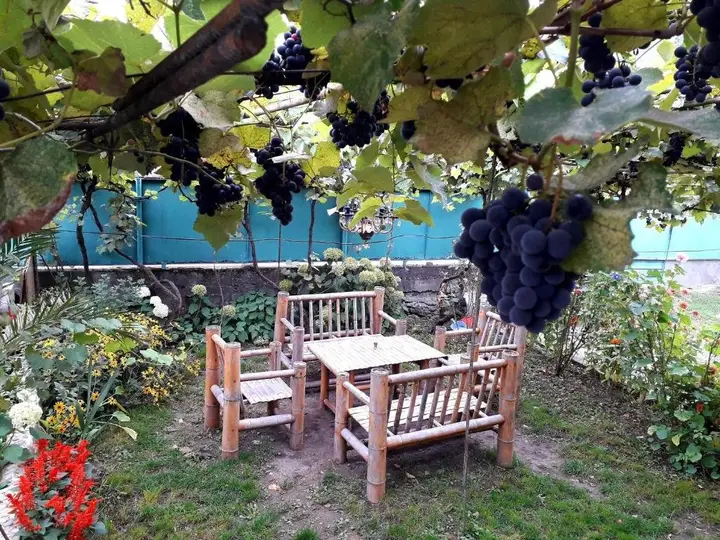 Боржоми: holiday home