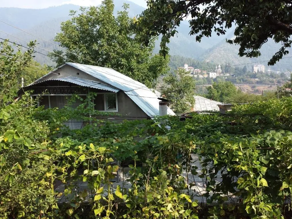 Боржоми: Bacho,s Cottage