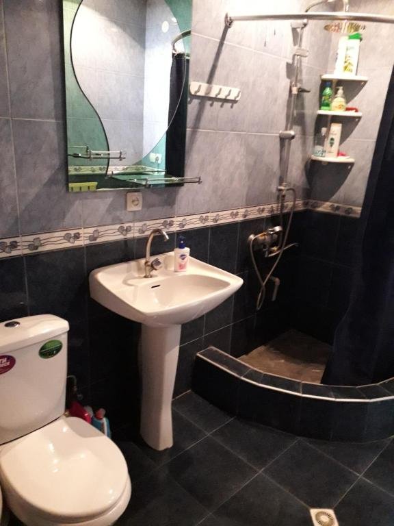 Боржоми: apartament Ninati