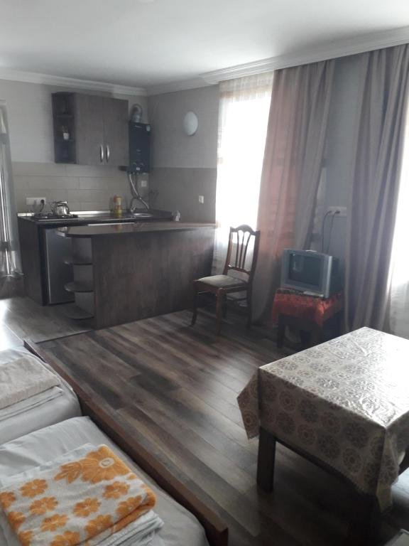 Боржоми: apartament Ninati